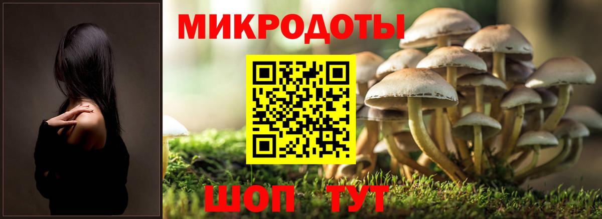 Псилоцибиновые грибы MAGIC MUSHROOMS Ачхой-Мартан